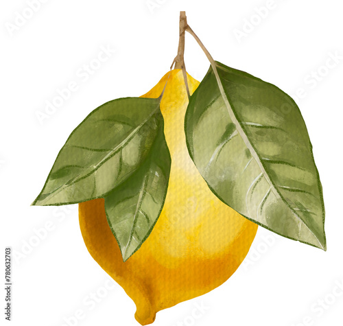 Lemon fruit watercolor isolated on white background. Organic yellow lime, natural summer fruit. Vintage Lemons, Flowers and Leaves. Lemon Bouquetes. Watercolor