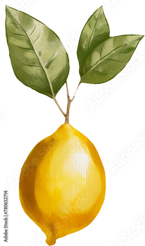 Lemon fruit watercolor isolated on white background. Organic yellow lime, natural summer fruit. Vintage Lemons, Flowers and Leaves. Lemon Bouquetes. Watercolor