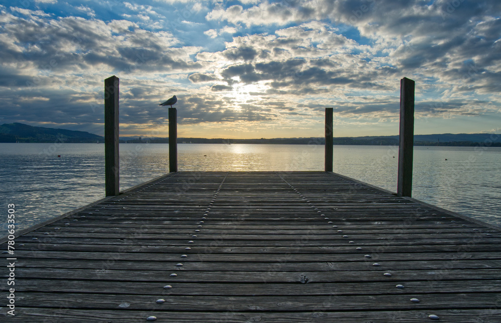 Obraz premium pier at sunset with seagull