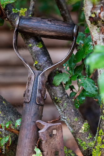 Closeup shot of a shovel handle resting on a tree branch