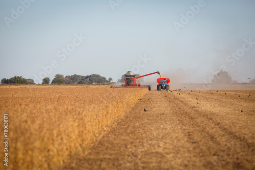 A combine harvester at work unloading onto a grain trailer while harvesting a soybean field.