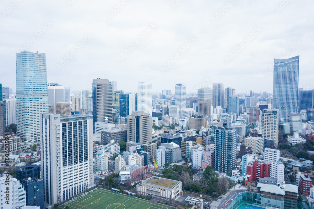 Fototapeta premium 東京風景
