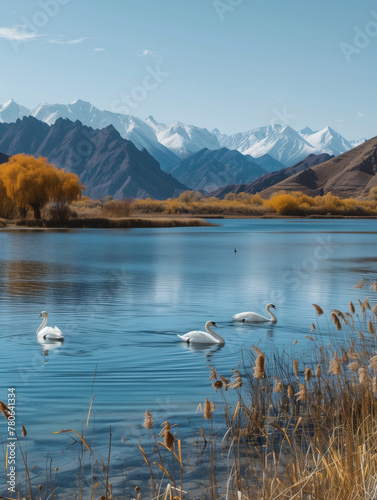 Lake water and swans in Xinjiang, China,created with Generative AI tecnology.