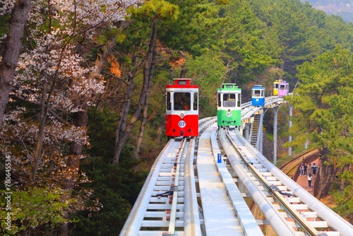 Capsule train and cherry blossoms in Busan