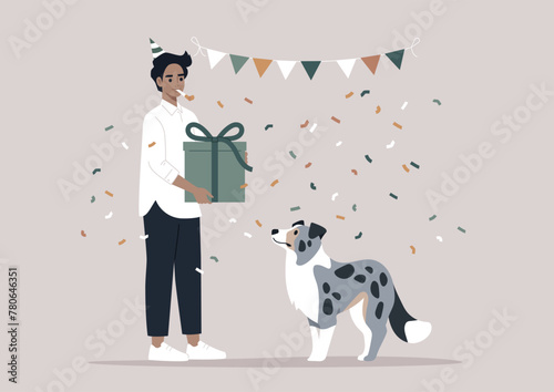 Celebrating a blue marble Border Collies Birthday With Festive Cheer, An owner presents a gift to an attentive puppy amidst a shower of confetti