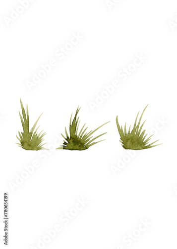 Bunches of young grass. Set of isolated watercolor sedge tussocks. Floral decor for the spring holiday of Easter © ElenVilk