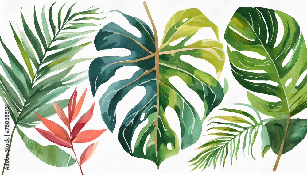 watercolor illustration set featuring tropical leaves, exotic plants, palm leaves, and monstera isolated on a white background. watercolor illustration set featuring tropical leaves, exotic plants, palm leaves, and monstera isolated on a white background.
