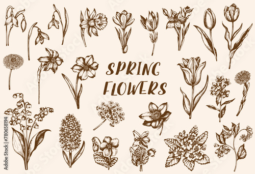 Fototapeta Naklejka Na Ścianę i Meble -  Set of vintage spring flowers