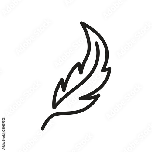 Linear feather icon for logo or web design on a white background.