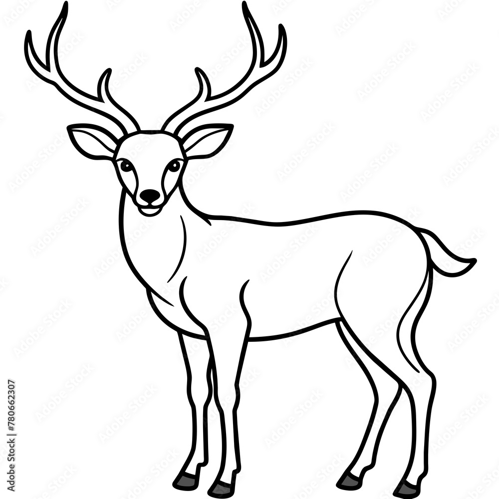 Deer vector illustration style. with line art. Deer vector illustration style. with line art.