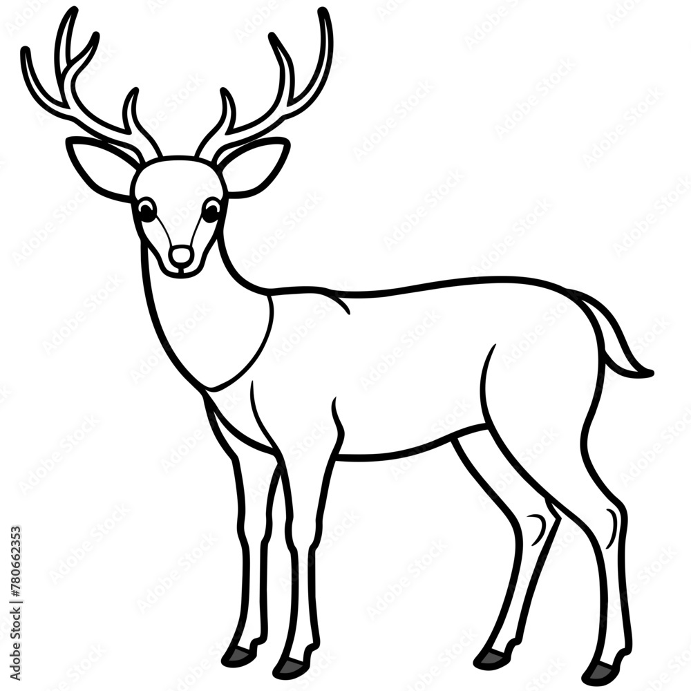 Deer vector illustration style. with line art. Deer vector illustration style. with line art.
