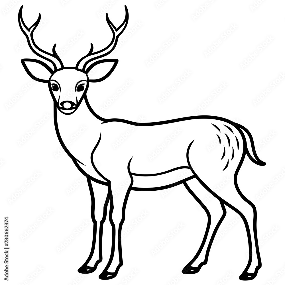 Deer vector illustration style. with line art. Deer vector illustration style. with line art.