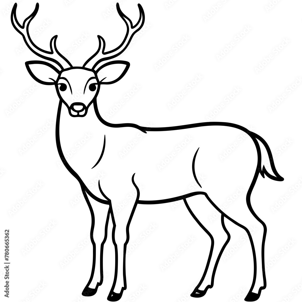      Deer  vector illustration style.
