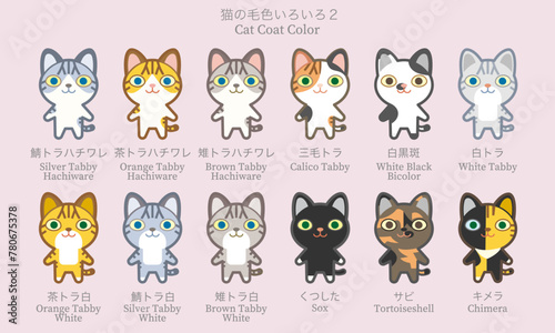 猫の毛色 種類いろいろ２