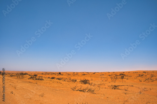 Barren landscape of dust, red earth and dead bushes in the Western Australian outback, between Exmouth and Coral Bay.  photo