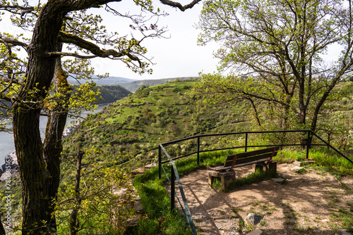 Foto Aussichtspunkt Sankt Goarshausen-Heide, Burg Katz, Patersberg, Tal der Loreley,