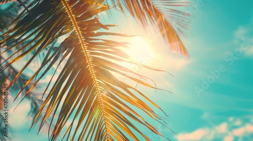 Beautiful palm tree leaves against the blue sky sunlight. Generate AI image