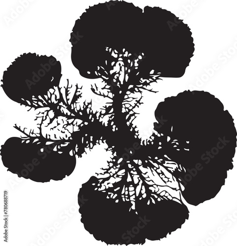 Black silhouette of a Phytoplankton