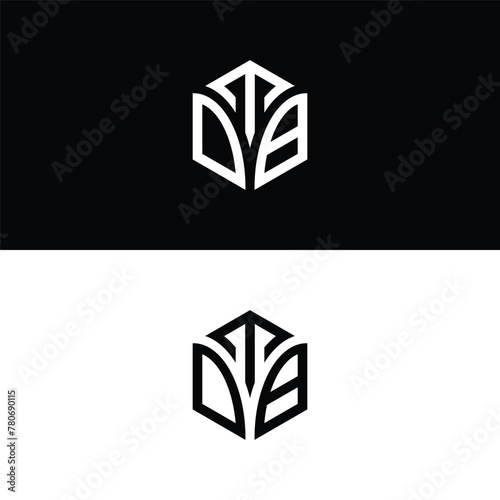 Initial letter TDB hexagon logo design, flourish, develop, natural, luxury, simple, finance logo, real estate. photo