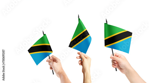 A group of people are holding small flags of Tanzania in their hands.