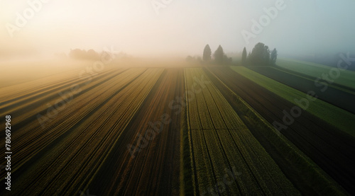 illustrazione vista aerea di campagna coltivata, foschia con luce diffusa