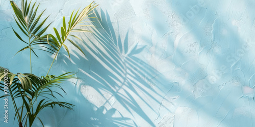 Palm leaves casting shadows on a textured blue wall with peeling paint. Summer banner with copy space