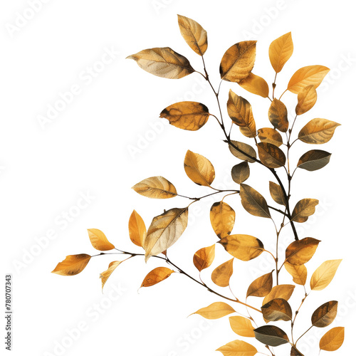 Plant twig with gold leaves on transparent background, artistic houseplant design