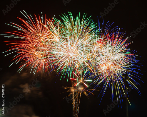 fireworks in the night sky