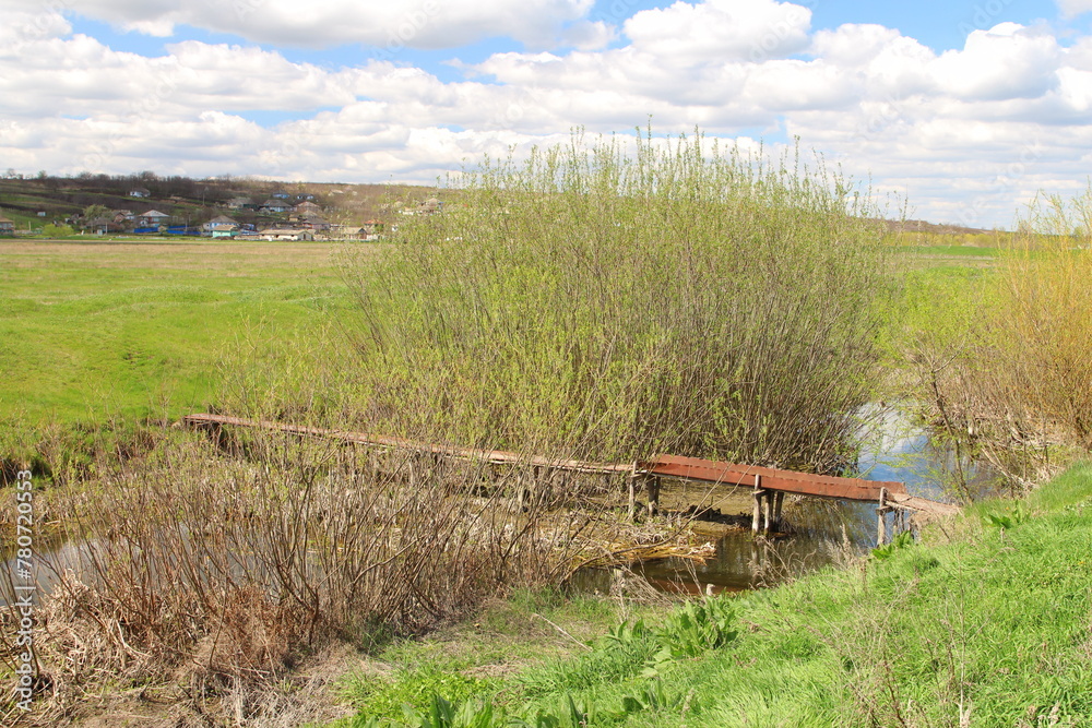 Fototapeta premium A wooden bridge over a river