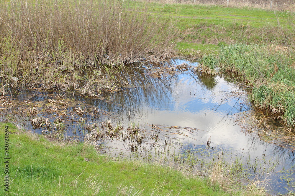 A stream of water surrounded by grass A stream of water surrounded by grass