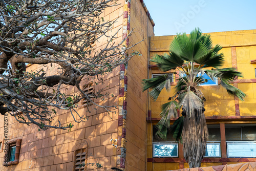un arbre décoratif devant une luxueuse villa dans la banlieue de Dakar au Sénégal en Afrique occidentale photo