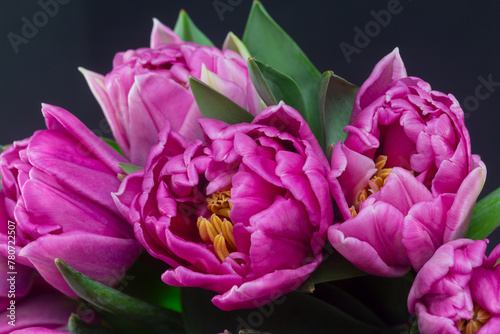 Festive bouquet of pink peony-shaped tulips close-up