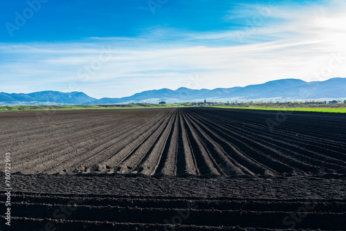 Fresh planted potato field with dark soil at early spring in Transylvania, Romania.