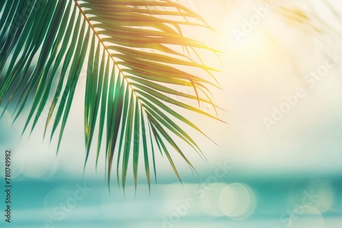 Sunlight filters through tropical palm leaves with a bokeh effect of the bright sea in the background.