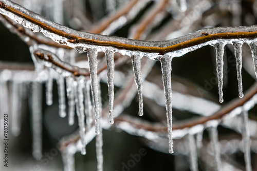 Closeup of icicycles hanging from branch coated in ice from winter storm. Ice cycles are sharp with good contrast against a dark and blurred background.