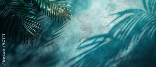 A palm leaf's shadow on a textured blue backdrop.