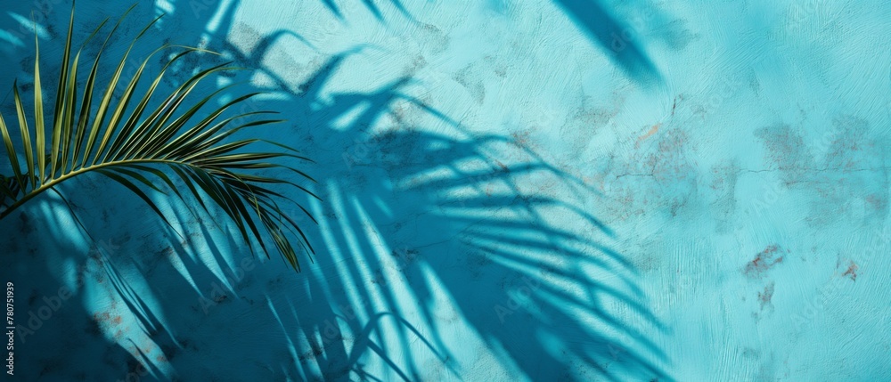 Sunlit palm leaf shadows on a cyan backdrop.