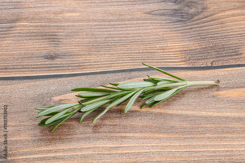 Rosemary branch - organic spicy herb Rosemary branch - organic spicy herb