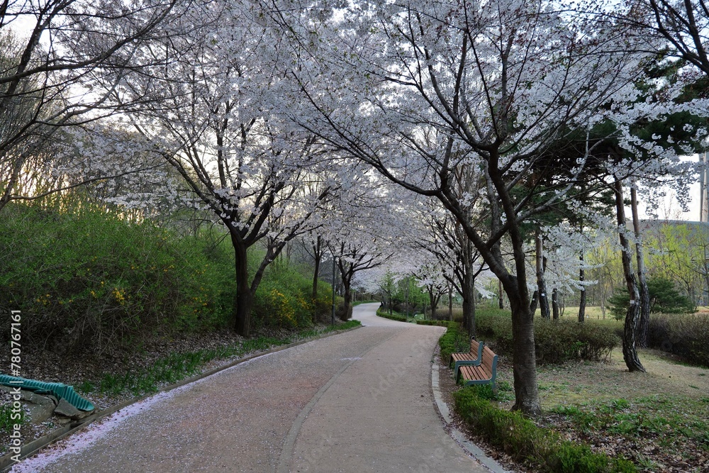 길거리, 나무, 네이처, 나무, 경관, 나무, green, 경로, 가을, 봄, 공원, sky, 국가, 목초, 농촌, 길, 아스팔트, 시골, 골목, 거리, 가을, 여행, 여름, 나무, 들판