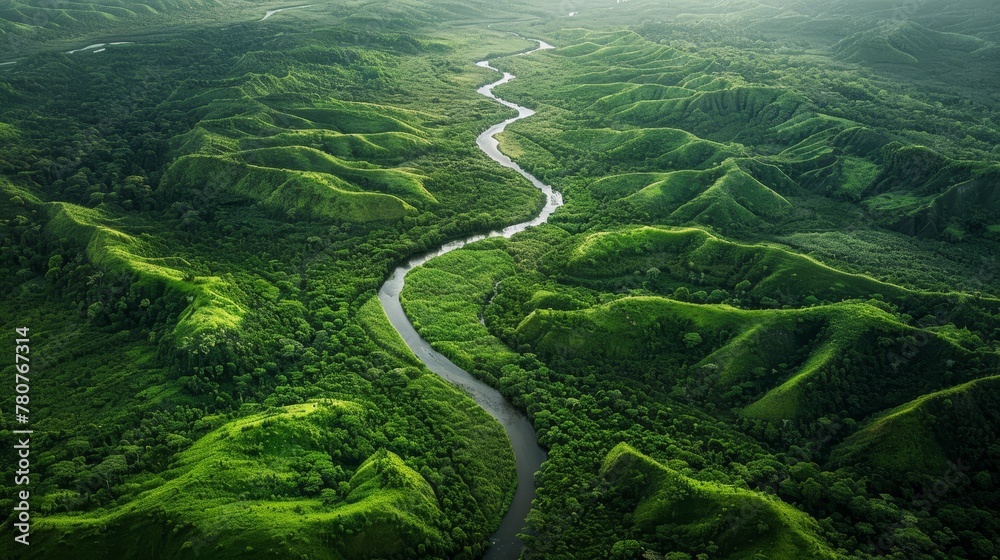 Winding river through lush green forest Winding river through lush green forest