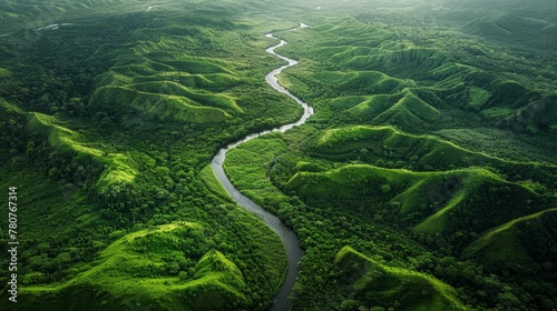 Winding river through lush green forest photo