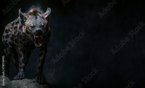 evil looking Hyena. Black background. With copy space for text. Fierce animal concept. Red glowing eyes. Horror and mystery theme. growling and roaring. Wild animal. sharp teeth. Attack pose