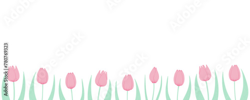 Tulip flowers horizontal border. Hand drawn flat illustration. Spring blossoms, pink blooms, decorative florals. Vector design. Mothers Day, Easter, seasonal, botanical drawing © Maria Skrigan