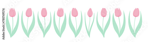 Tulip flowers horizontal border. Hand drawn flat illustration. Spring blossoms, pink blooms, decorative florals. Vector design, isolated. Mothers Day, Easter, seasonal, botanical drawing