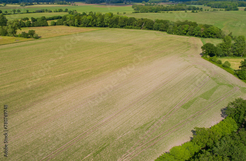 Drohnen Luftaufnahme von diverse Landwirtschaftliche Agrar Felder in Schleswig Holstein Deutschland