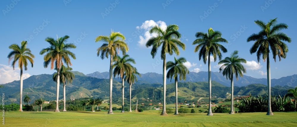  A row of palm trees borders a verdant green field In the backdrop, mountains ranges loom