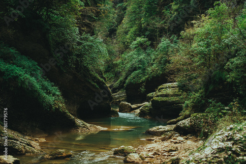mountain river flowing among the rocks
