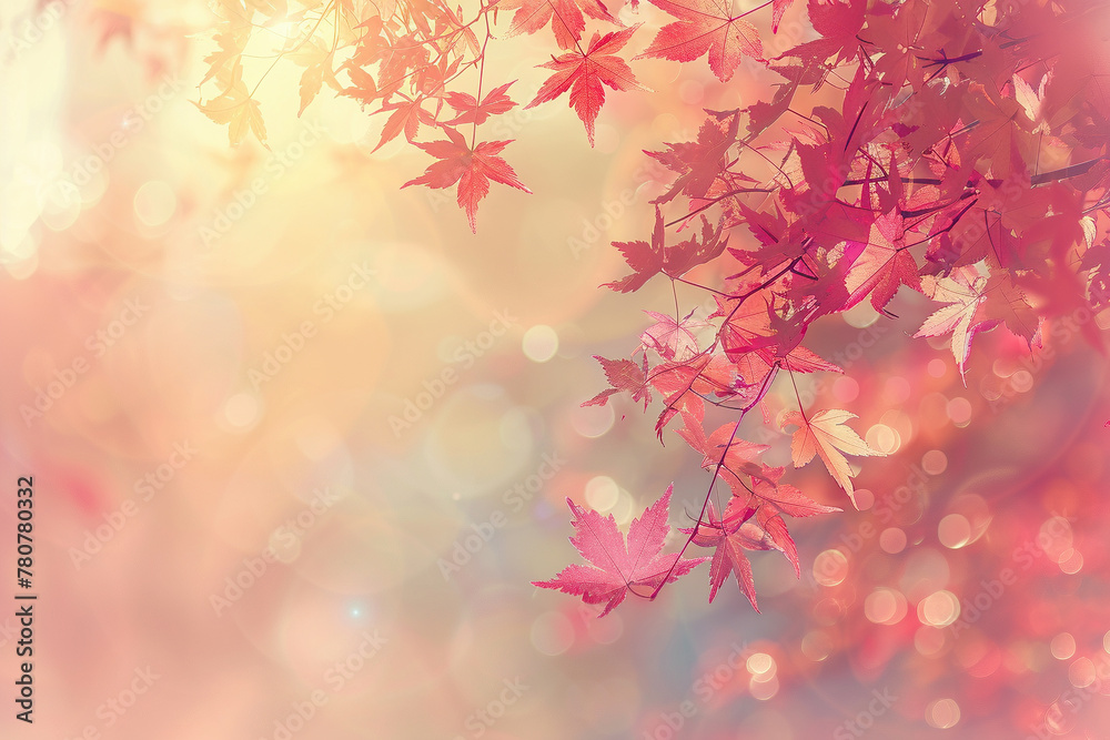 Autumn Maple Leaves on Blurred Warm Bokeh Background