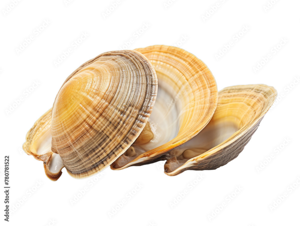 Baked Clams isolated on transparent png background. Generative ai Baked Clams isolated on transparent png background. Generative ai