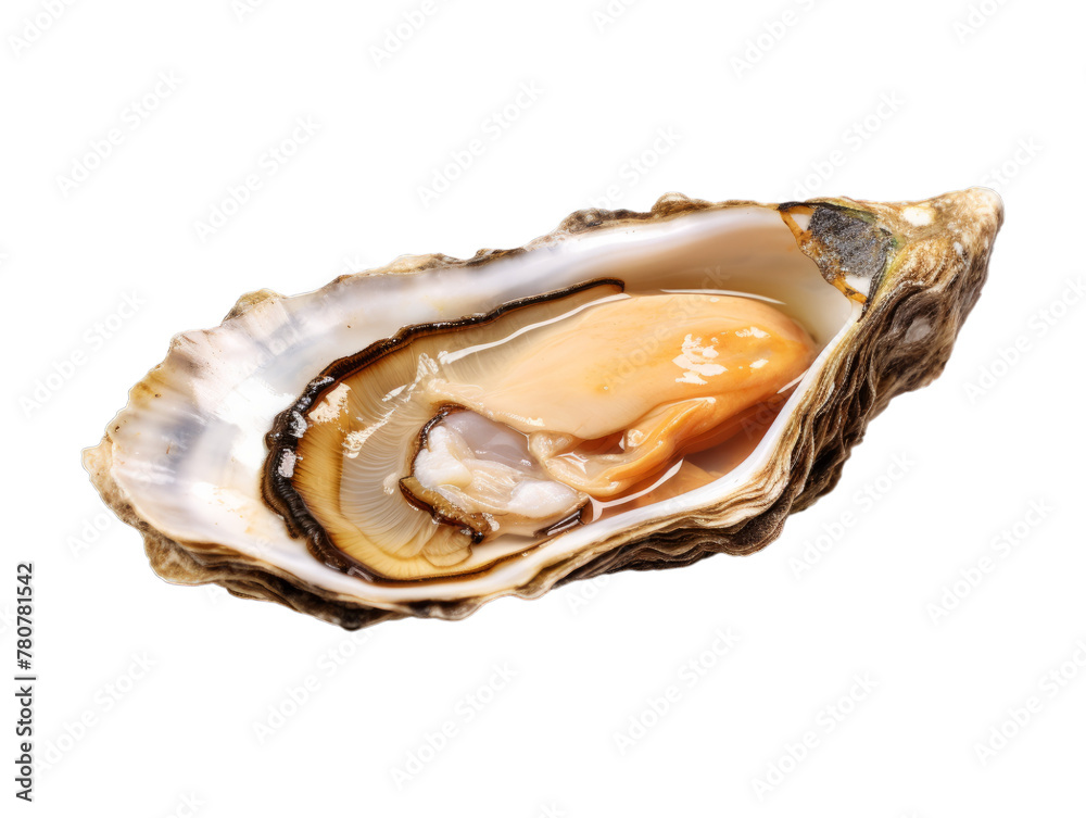 Baked Oysters isolated on transparent png background. Generative ai Baked Oysters isolated on transparent png background. Generative ai